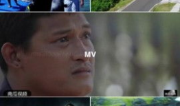 吃瓜爆料预言视频大全,揭秘娱乐圈背后的惊人真相